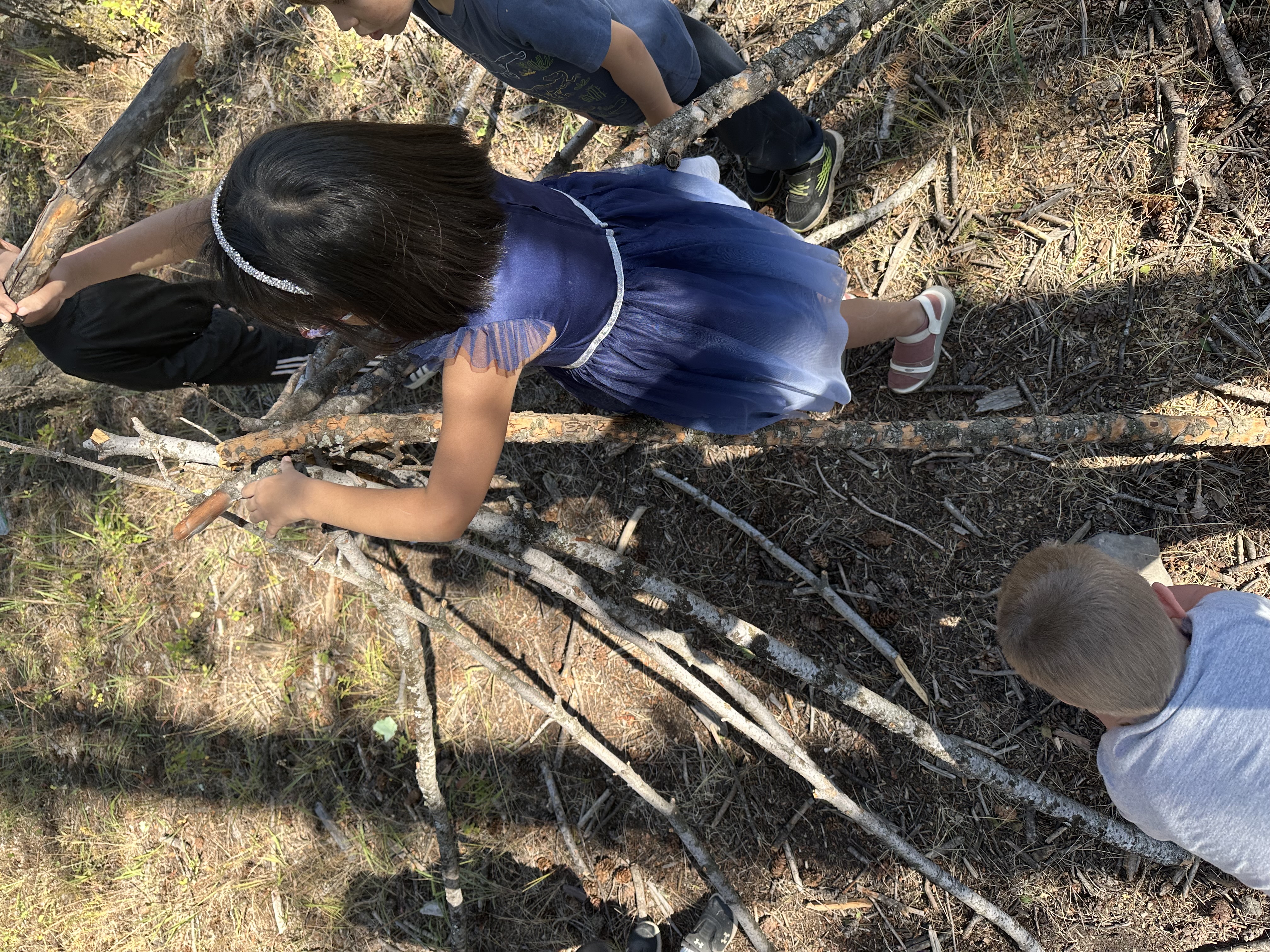 Forest as a classroom1 kelly glen