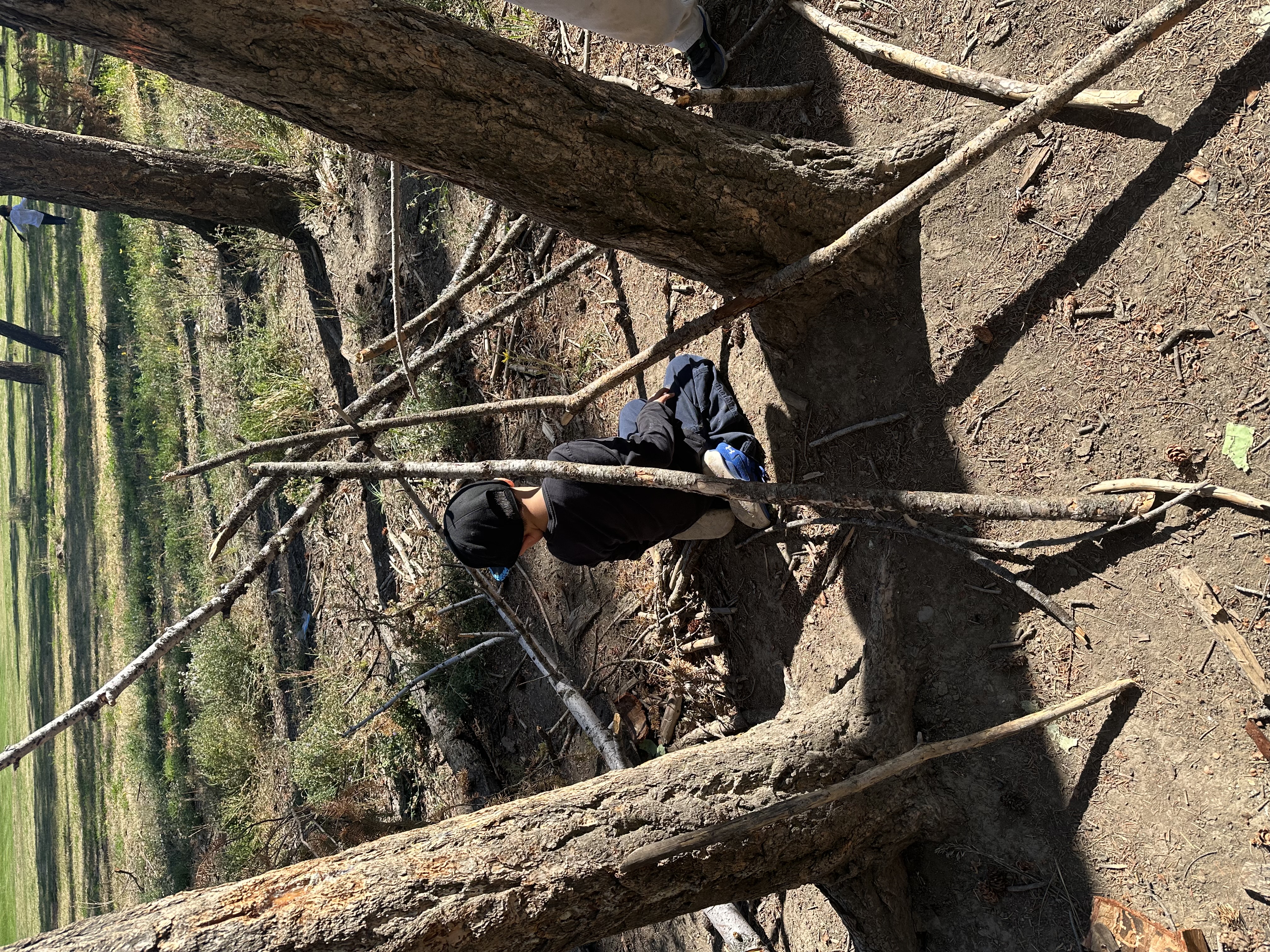 Forest as a classroom2 kelly glen