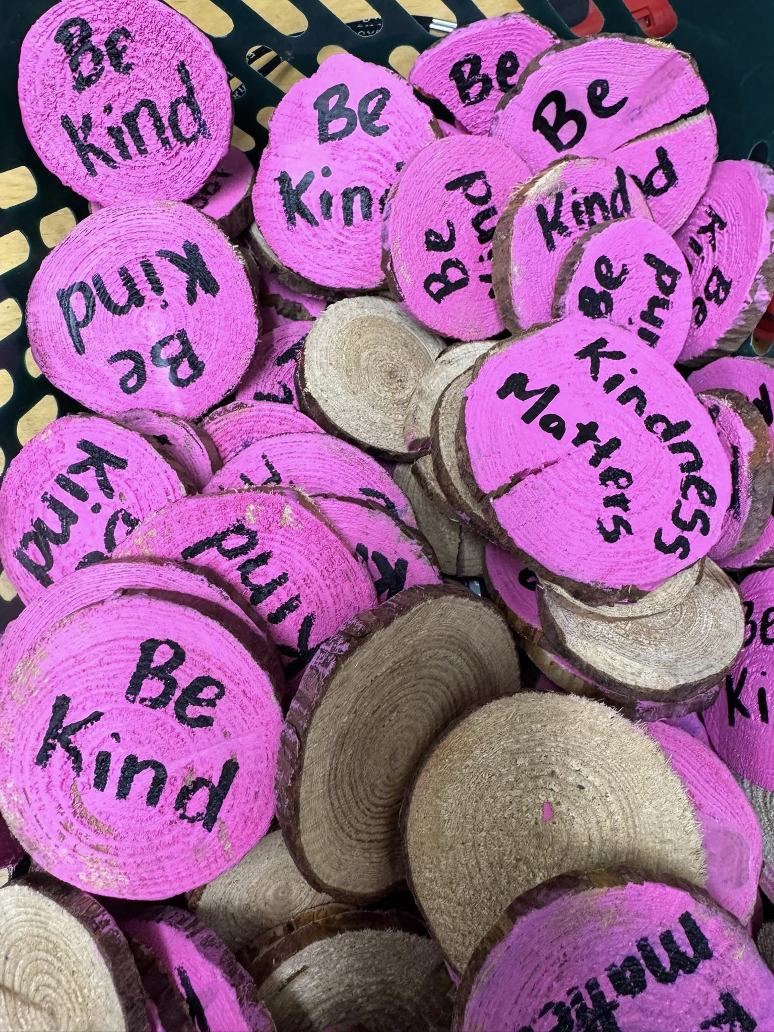 Buddies Spread Kindness1 holly zurak